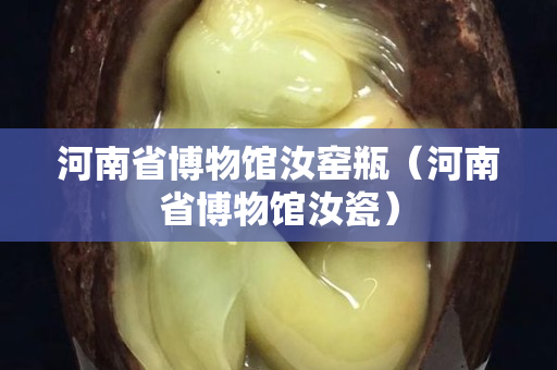 河南省博物館汝窯瓶（河南省博物館汝瓷）
