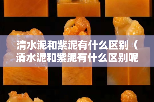 清水泥和紫泥有什么區(qū)別（清水泥和紫泥有什么區(qū)別呢）