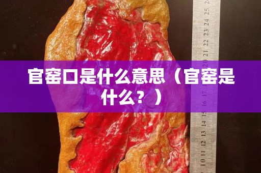 官窯口是什么意思（官窯是什么？）