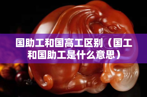 國助工和國高工區別（國工和國助工是什么意思）