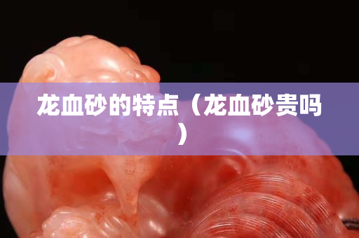 龍血砂的特點（龍血砂貴嗎）