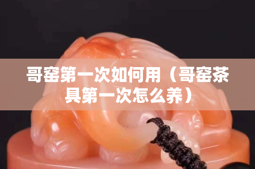 哥窯第一次如何用（哥窯茶具第一次怎么養）