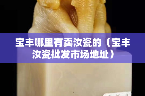 寶豐哪里有賣汝瓷的（寶豐汝瓷批發(fā)市場地址）
