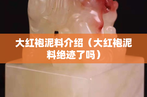 大紅袍泥料介紹（大紅袍泥料絕跡了嗎）
