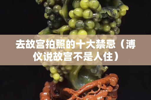 去故宮拍照的十大禁忌（溥儀說故宮不是人住）