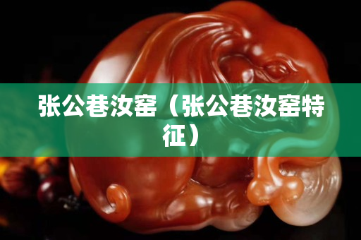 張公巷汝窯（張公巷汝窯特征）