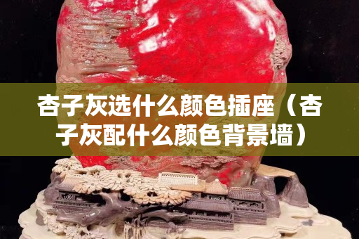 杏子灰選什么顏色插座（杏子灰配什么顏色背景墻）