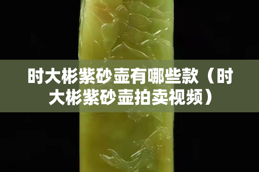時(shí)大彬紫砂壺有哪些款（時(shí)大彬紫砂壺拍賣視頻）