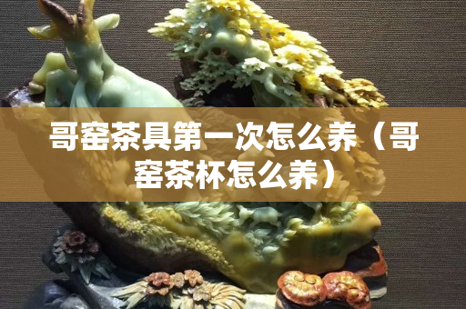 哥窯茶具第一次怎么養（哥窯茶杯怎么養）