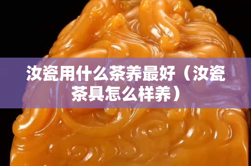 汝瓷用什么茶養最好（汝瓷茶具怎么樣養）