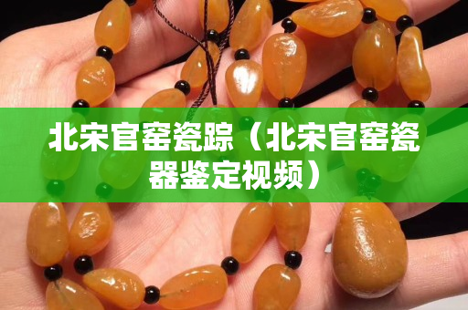 北宋官窯瓷蹤（北宋官窯瓷器鑒定視頻）