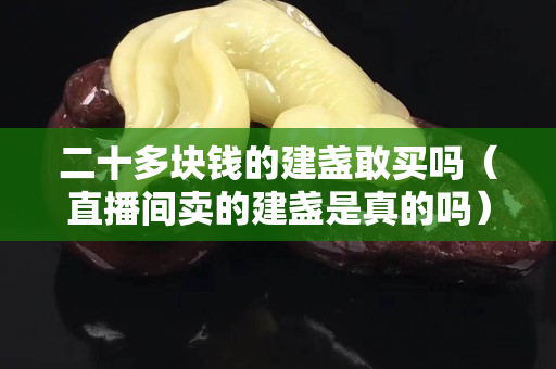 二十多塊錢的建盞敢買嗎（直播間賣的建盞是真的嗎）
