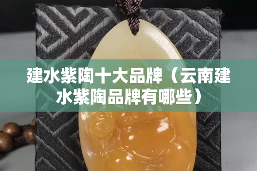 建水紫陶十大品牌（云南建水紫陶品牌有哪些）