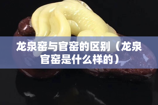 龍泉窯與官窯的區別（龍泉官窯是什么樣的）