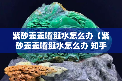 紫砂壺壺嘴涎水怎么辦（紫砂壺壺嘴涎水怎么辦 知乎）