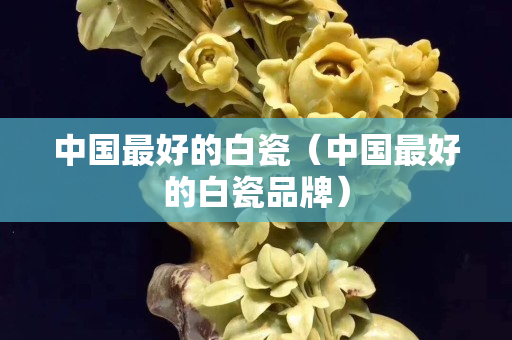 中國最好的白瓷（中國最好的白瓷品牌）
