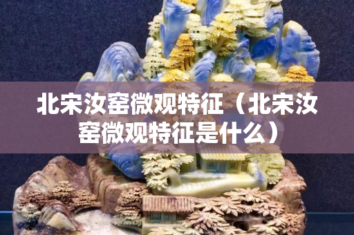 北宋汝窯微觀特征（北宋汝窯微觀特征是什么）