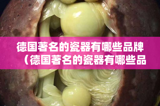 德國著名的瓷器有哪些品牌（德國著名的瓷器有哪些品牌名稱）