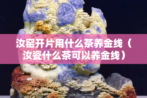 汝窯開片用什么茶養金線（汝瓷什么茶可以養金線）