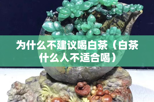 為什么不建議喝白茶（白茶什么人不適合喝）