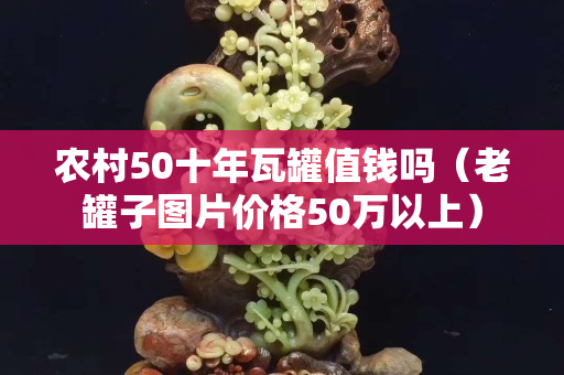 農村50十年瓦罐值錢嗎（老罐子圖片價格50萬以上）