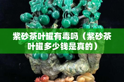 紫砂茶葉罐有毒嗎（紫砂茶葉罐多少錢是真的）