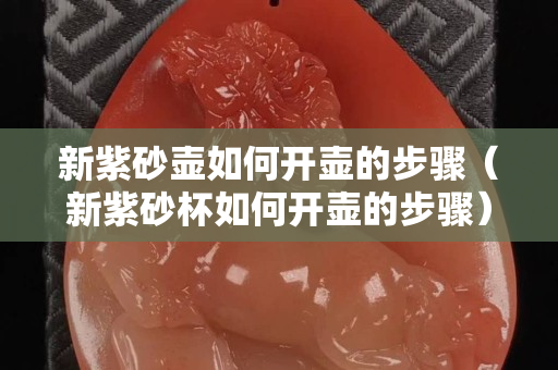 新紫砂壺如何開壺的步驟（新紫砂杯如何開壺的步驟）