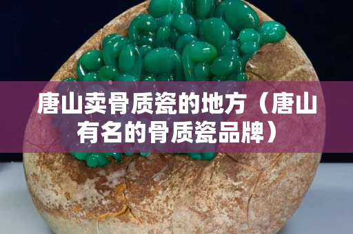 唐山賣骨質瓷的地方（唐山有名的骨質瓷品牌）