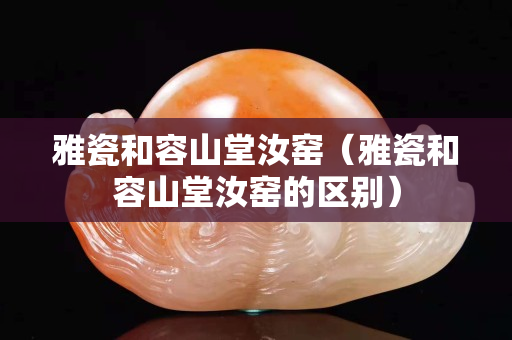 雅瓷和容山堂汝窯（雅瓷和容山堂汝窯的區(qū)別）