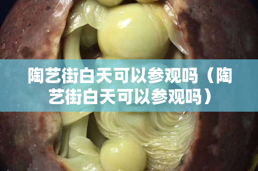 陶藝街白天可以參觀嗎（陶藝街白天可以參觀嗎）