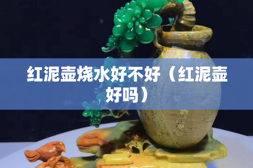 紅泥壺燒水好不好（紅泥壺好嗎）