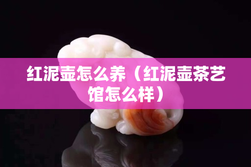 紅泥壺怎么養(yǎng)（紅泥壺茶藝館怎么樣）