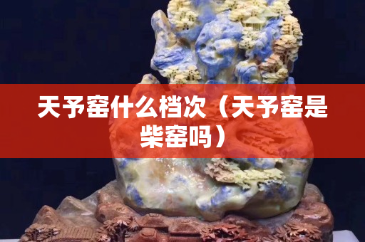 天予窯什么檔次（天予窯是柴窯嗎）