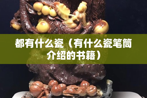 都有什么瓷（有什么瓷筆筒介紹的書籍）
