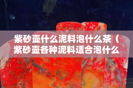 紫砂壺什么泥料泡什么茶（紫砂壺各種泥料適合泡什么茶）