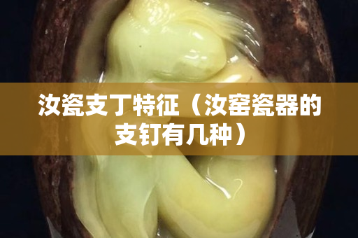 汝瓷支丁特征（汝窯瓷器的支釘有幾種）