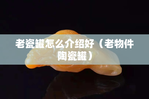 老瓷罐怎么介紹好（老物件陶瓷罐）