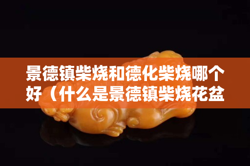 景德鎮柴燒和德化柴燒哪個好（什么是景德鎮柴燒花盆）