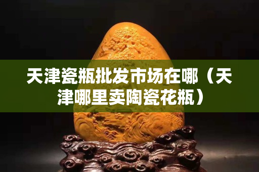 天津瓷瓶批發市場在哪（天津哪里賣陶瓷花瓶）