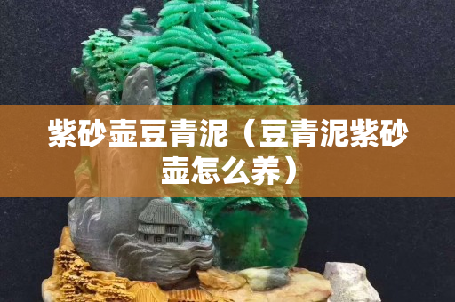 紫砂壺豆青泥（豆青泥紫砂壺怎么養）