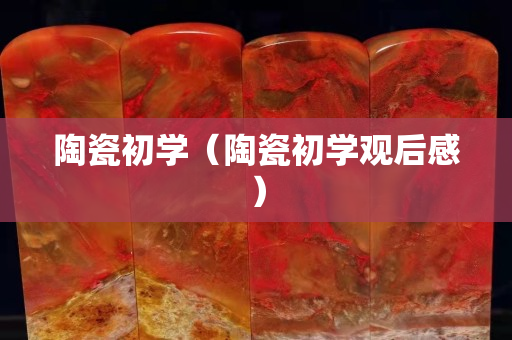 陶瓷初學（陶瓷初學觀后感）