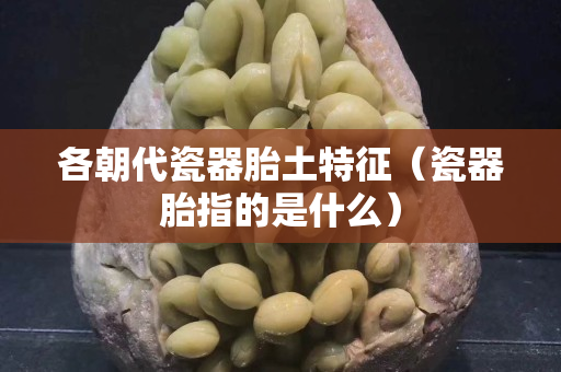 各朝代瓷器胎土特征（瓷器胎指的是什么）