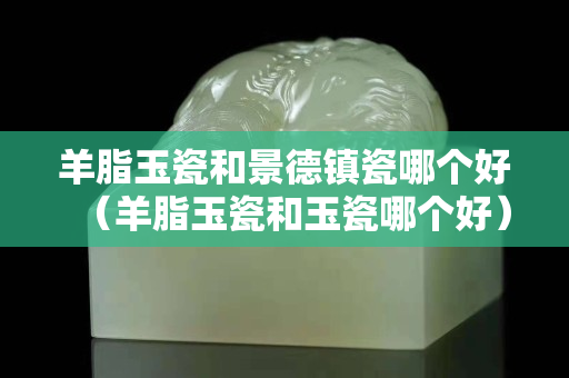 羊脂玉瓷和景德鎮瓷哪個好（羊脂玉瓷和玉瓷哪個好）