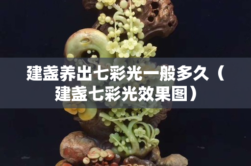 建盞養出七彩光一般多久（建盞七彩光效果圖）