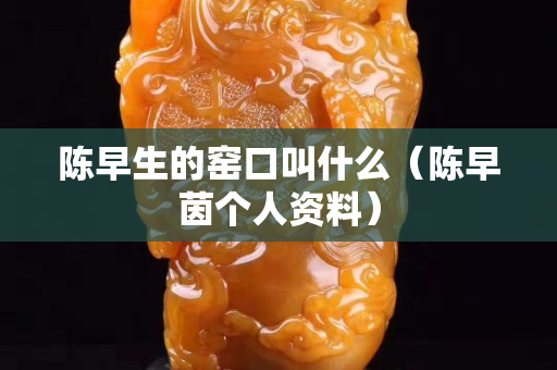 陳早生的窯口叫什么（陳早茵個人資料）