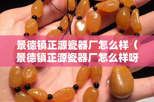 景德鎮正源瓷器廠怎么樣（景德鎮正源瓷器廠怎么樣呀）