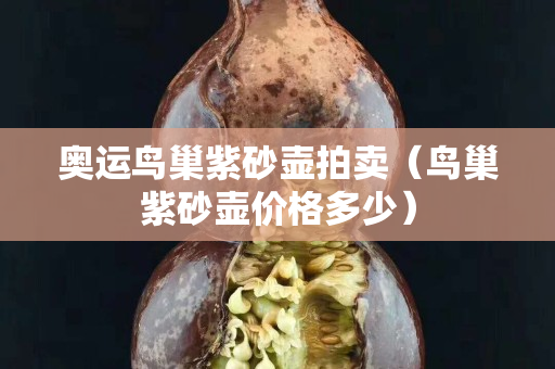奧運鳥巢紫砂壺拍賣（鳥巢紫砂壺價格多少）