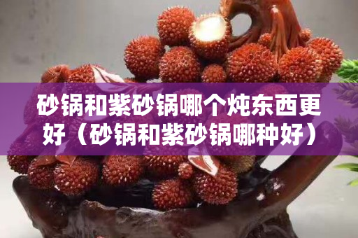 砂鍋和紫砂鍋哪個(gè)燉東西更好（砂鍋和紫砂鍋哪種好）