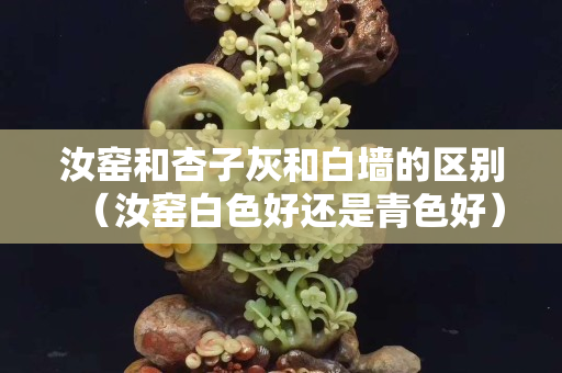汝窯和杏子灰和白墻的區(qū)別（汝窯白色好還是青色好）