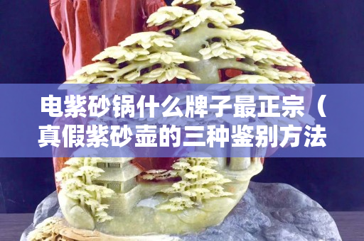 電紫砂鍋什么牌子最正宗（真假紫砂壺的三種鑒別方法）